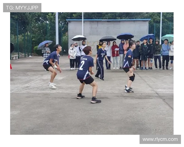 武汉排球队的节奏与激情探讨聚焦排球运动的魅力与发展 武汉排球队的节奏与激情探讨聚焦排球运动的魅力与发展