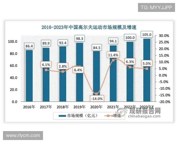 南京羽毛球队实力解析聚焦羽毛球运动的未来发展与挑战