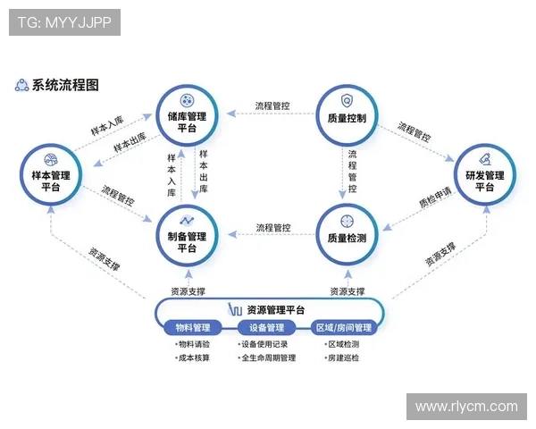 北京羽毛球队阵地战革新探索与发展新路径的深度分析